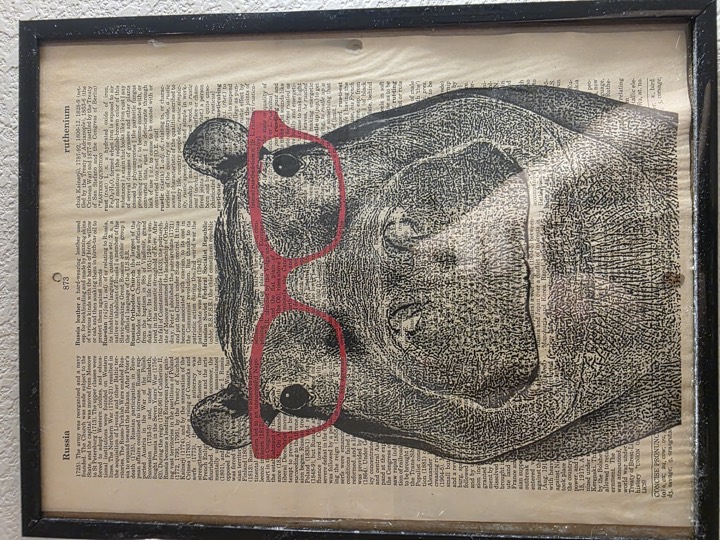 Hippo with Glasses