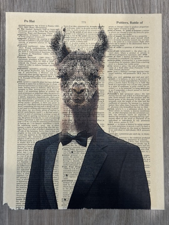 Dandy Llama #775